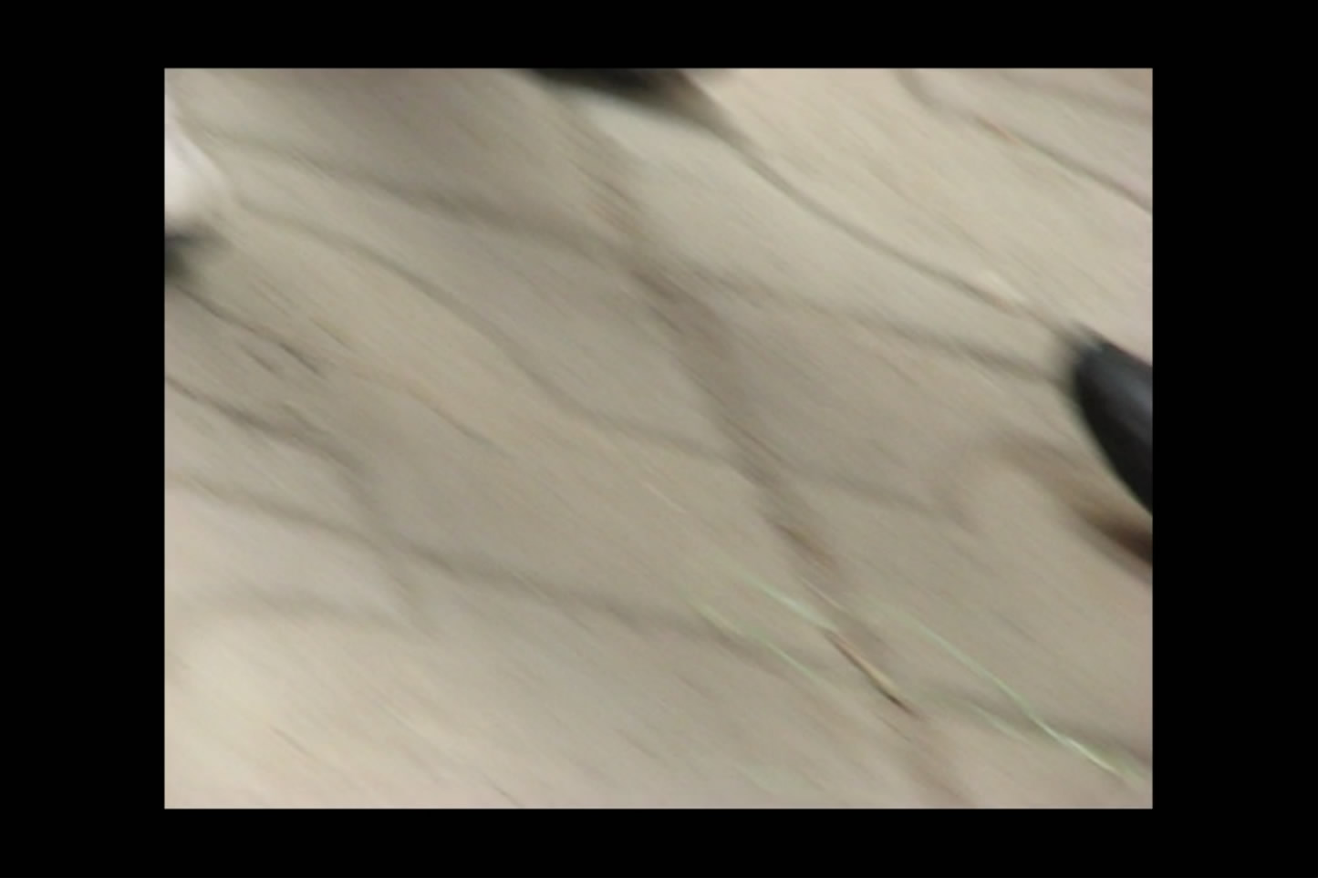 streetsnapshoep[00 01 10][20181209 210131 2]